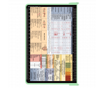 WhiteCoat Clipboard® - Mint Primary Care Edition